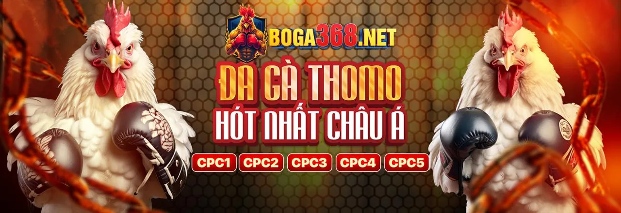 Đá gà trực tuyến kịch tính tại FC888 App
