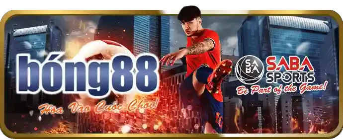 Tổng quan các tính năng của fc888 app